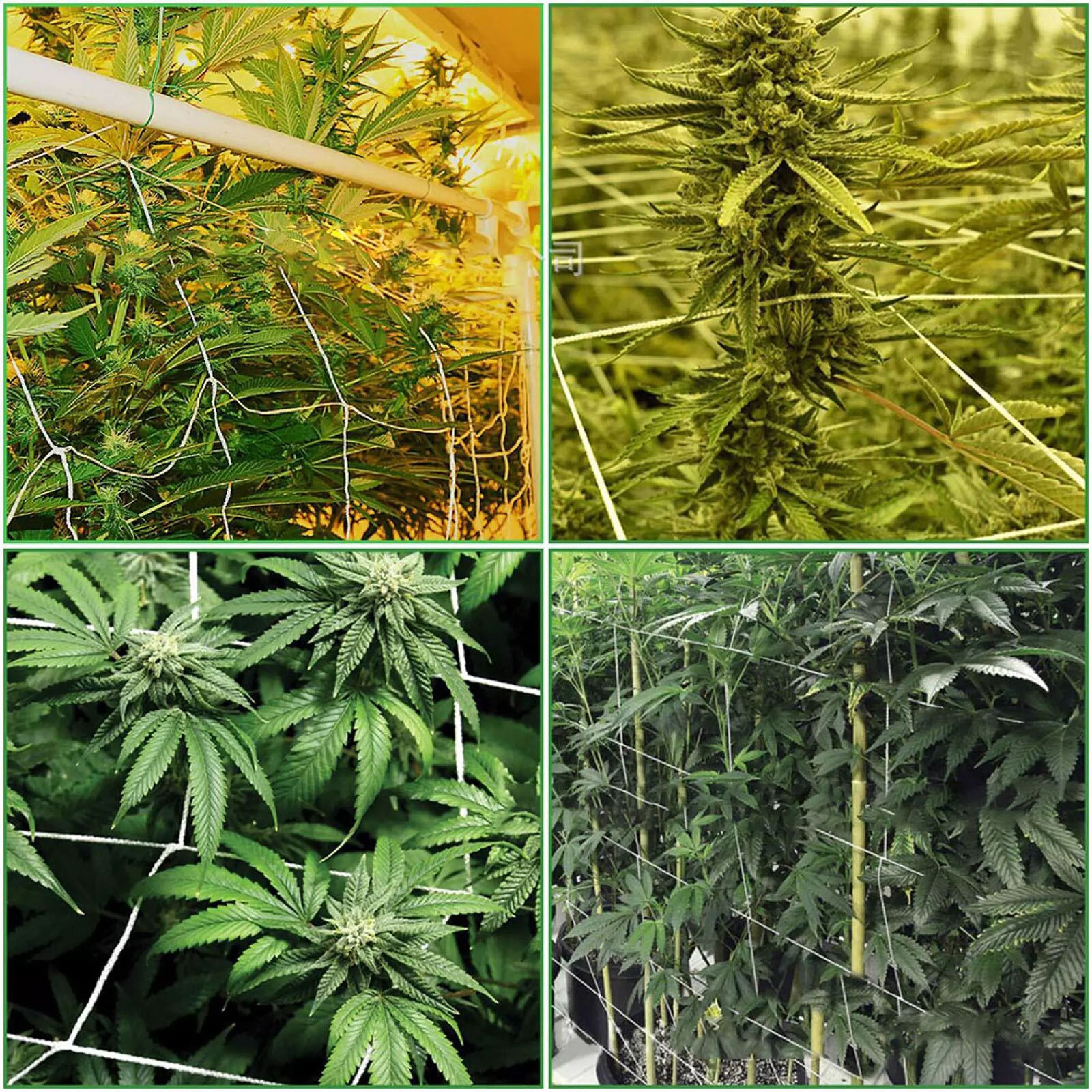 25# Nylon Netting Plant Trellis Netting Plant Climbing Net Woven Polyester Plant Support Vine Climbing Hydroponics Garden Ne