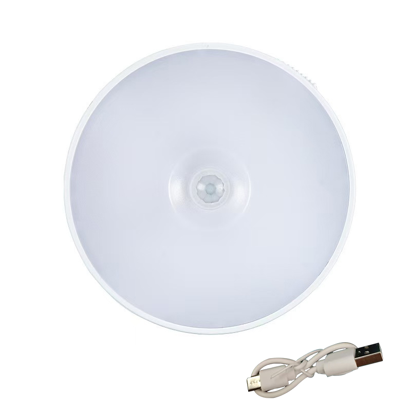 Emergency automatic lighting USB charging LED intelligent human body sensor night light: PURPLE / Blue