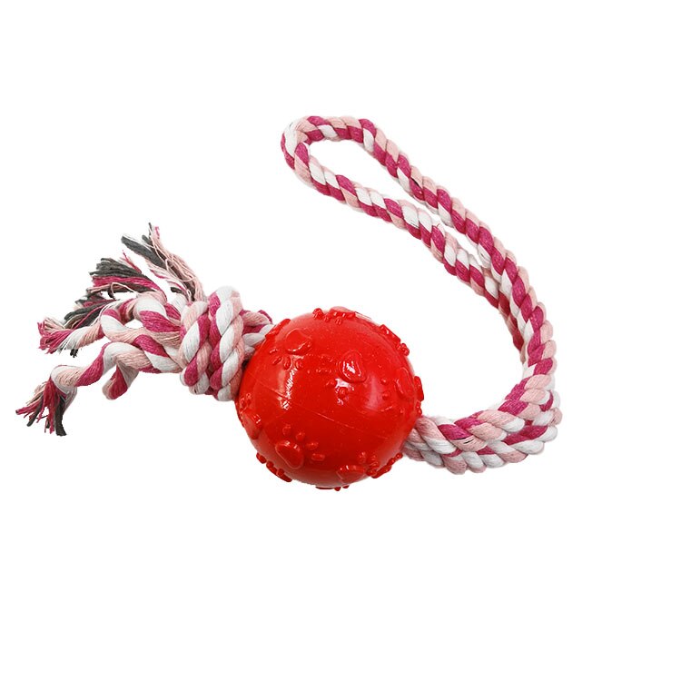 Jouets à mâcher en corde de coton à Double nœud pour chien, molaires résistantes aux morsures, petit gabarit, nettoyage des dents: F-Red