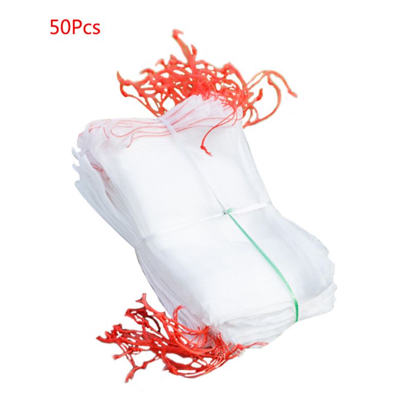 Nylon insektsikker mesh bag frukt frø bløtlegging filter pitaya anti-fly poser: 4