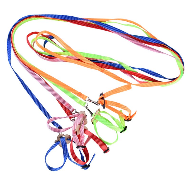 Ensemble harnais et laisse pour Hamster, réglable, pour la marche, pour petits animaux, Rat d&#39;inde, Chinchillas, corde, accessoires pour Hamster