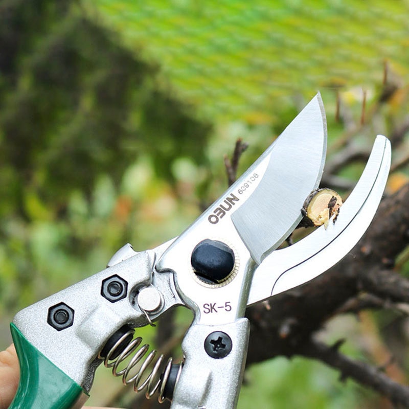 SK5 Pruner Pruning Shears Scissors Horticulture Fruit Tree Shears Rose Cippers Bonsai Gardening Secateurs Grafting Tool