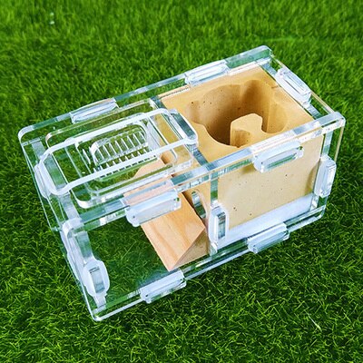 Maur slott maur spleise slott bionisk akryl gips maur reir kjæledyr maur slott verksted hjem maur reir: F1