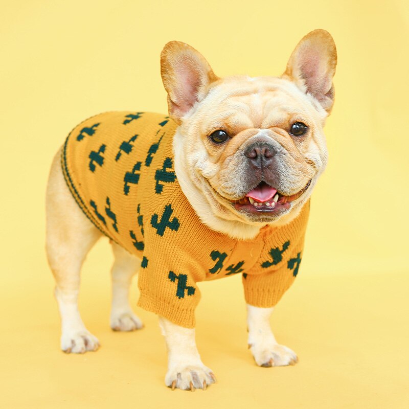 Hund sweater efterårsblomst plaid bamse chihuahua kæledyrstrøje strikket varmt hundetøj
