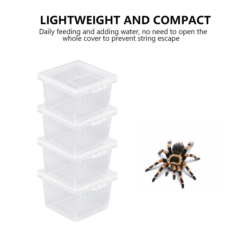 10 pièces pratique Reptile élevage boîte insecte alimentation boîte Portable Creeper maison