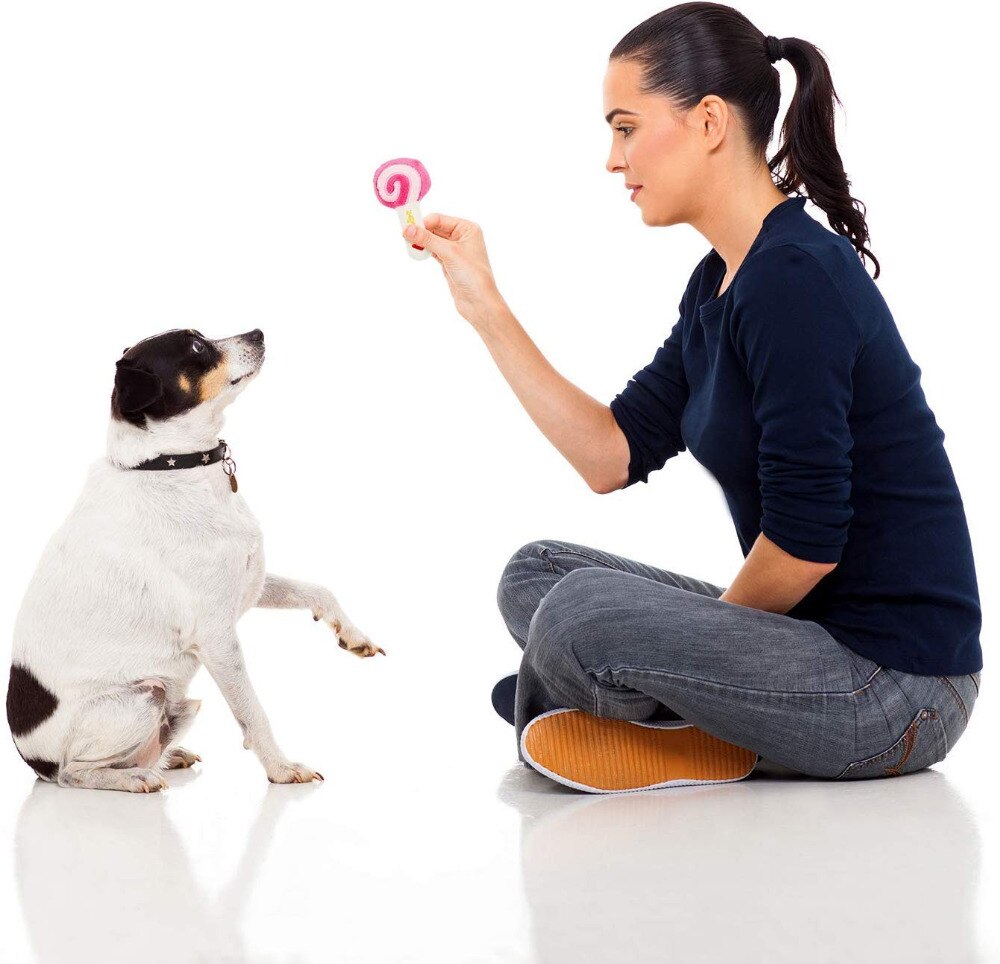 020-2 Fleece Chew Play Speelgoed Huisdier Piepende Puppy Chew Piepend Quack Sound Pop Speelgoed Creatieve Simulatie Donut Huisdier levert Hond Speelgoed