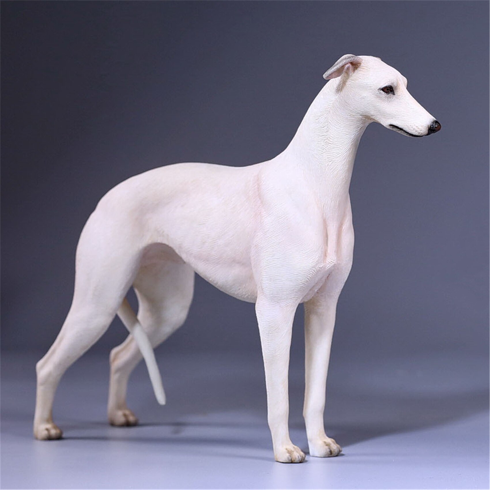 Mr.Z 1:6 Scale Greyhound Whippet Dog Pet Healing Figure Animal Model Toy Collector Desktop Decoration Adult