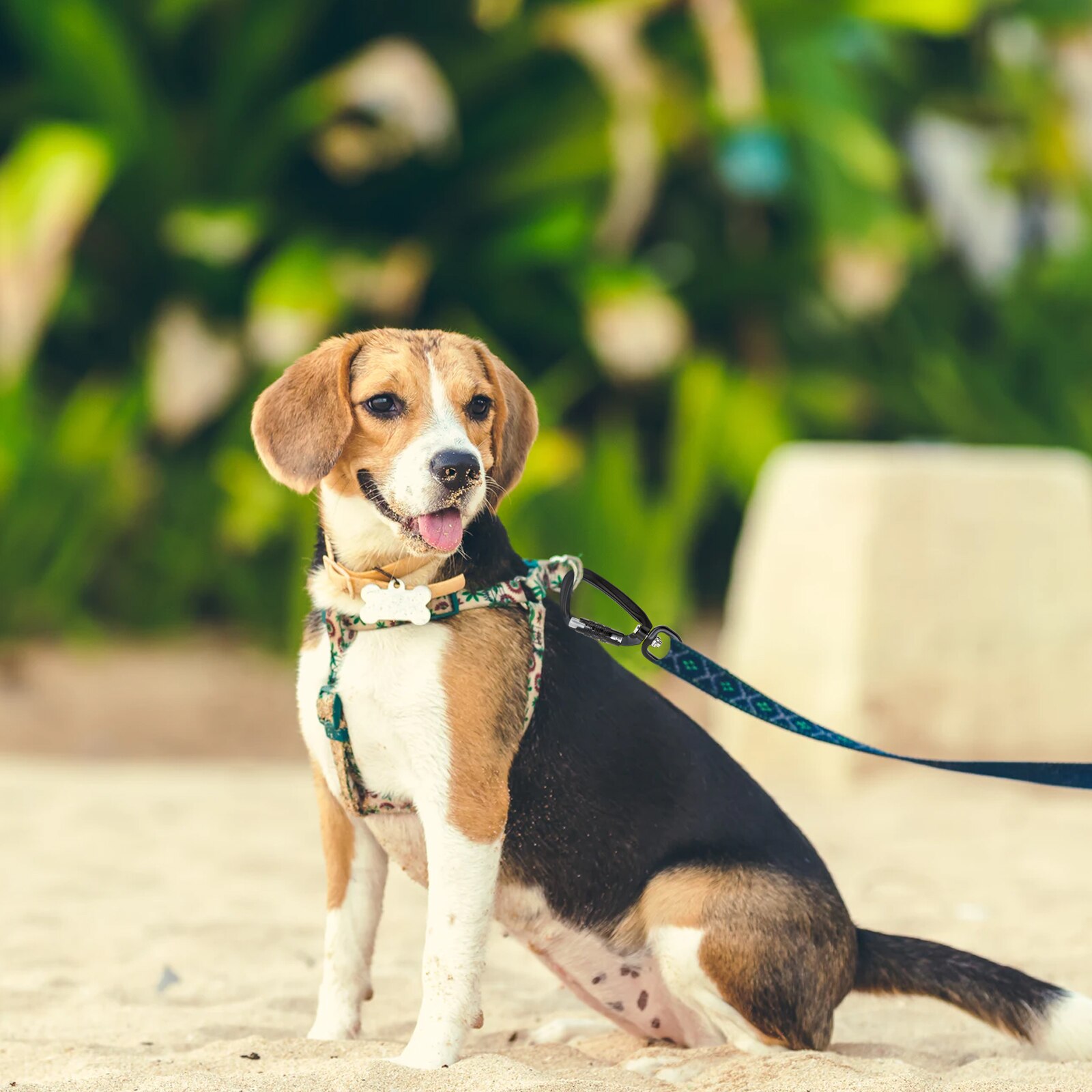 2 Packs Heavy Duty Auto Locking Carabiner Clips 3.46inch Hanging Buckle