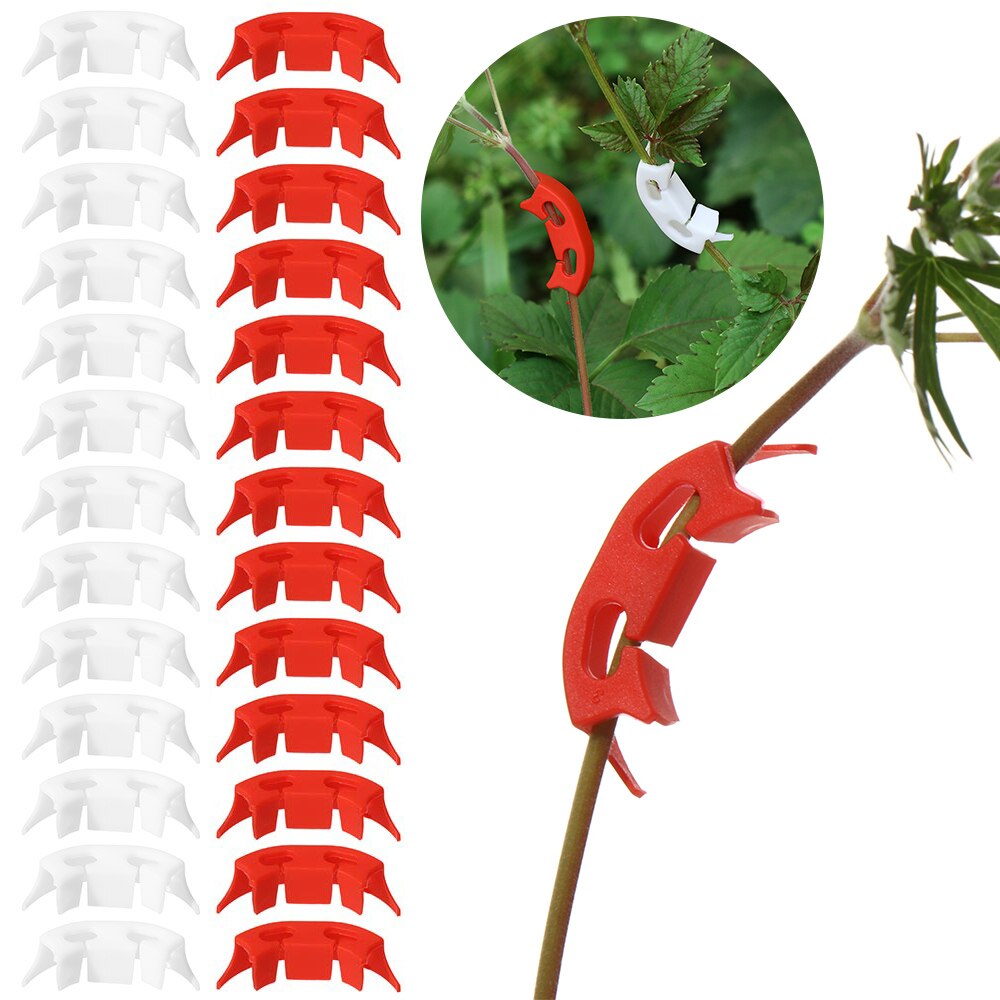 100 pces planta videira mudas enxertadas grampos de retenção de 90 graus planta bender para flor tomate ramos de frutas transplante apoio