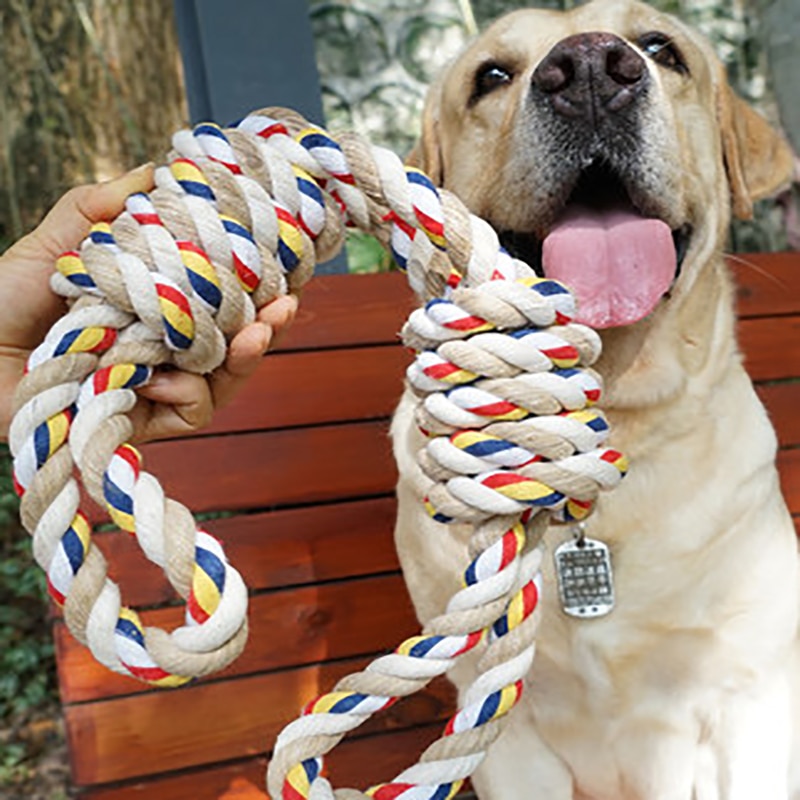 Kæledyr legetøj bid knude gensidig handling en molær tand god lille i stor hund hund tygge gyldent hår vil hunde tænder legetøj