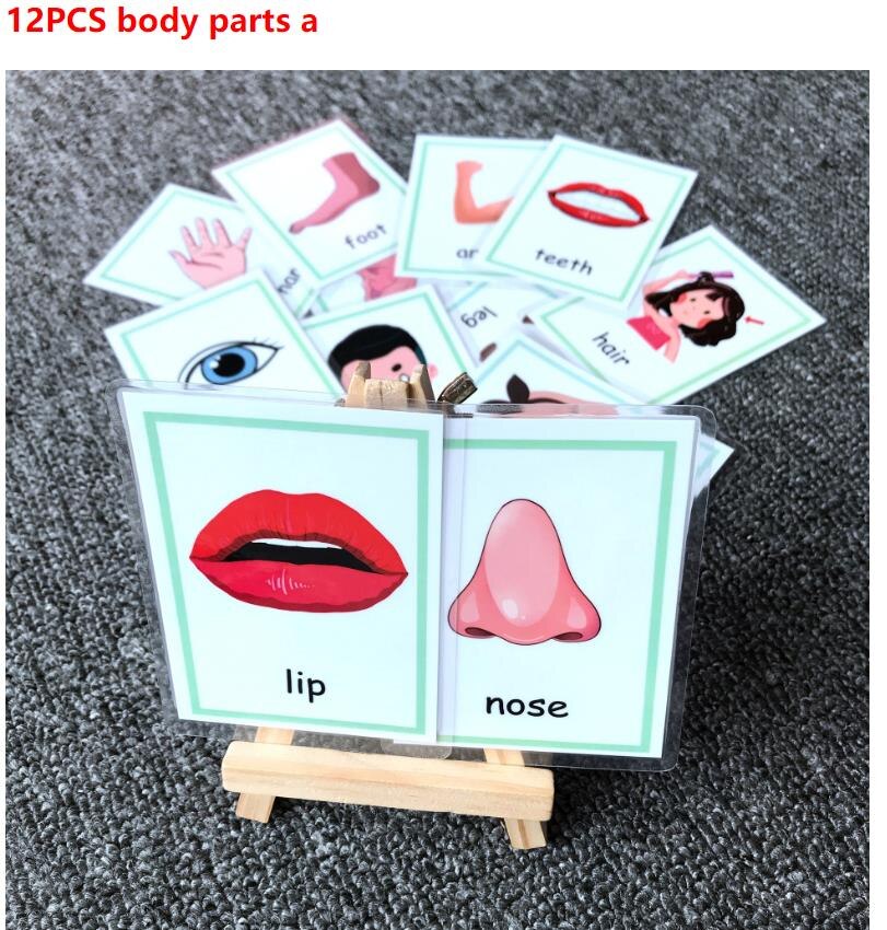 Kids Montessori Baby Learn English Word Card Flashcards Cognitive Educational Toys Picture Memorise Games For Children: 12pcs body part a