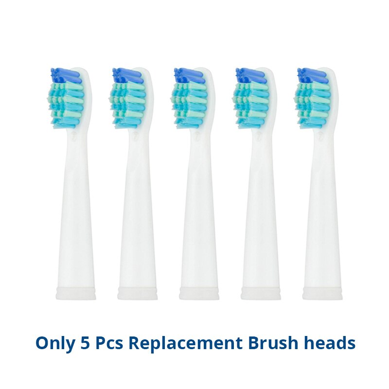 Adulto sônico escova de dentes elétrica seago SG-507 recarregável 5 modos profunda oral limpo macio dupont cerdas cabeças escova: 5whiteheads