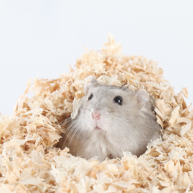 Hamster Sawdust Bedding Deodorizing and Deodorizing Sawdust Rabbit Golden Silk Bear Dust-free Paper Cotton