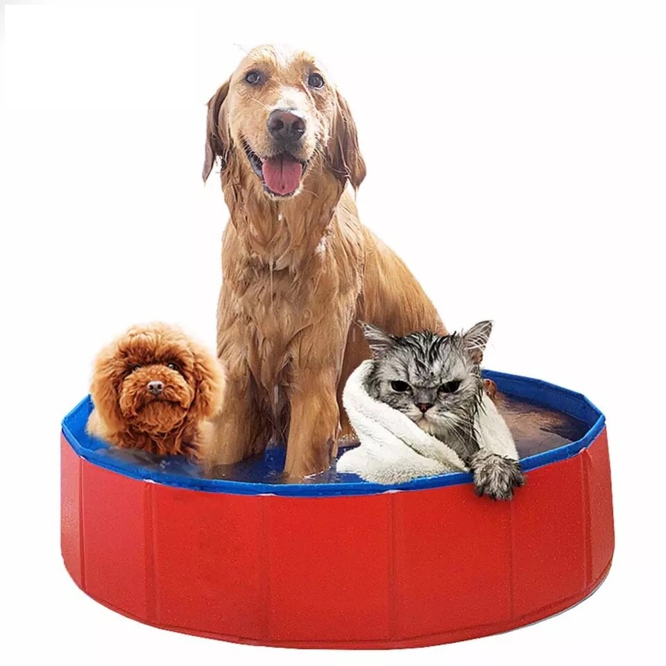 Bañera plegable para perros grandes, piscina para perros y gatos, PVC, impermeable, plegable, lavadora