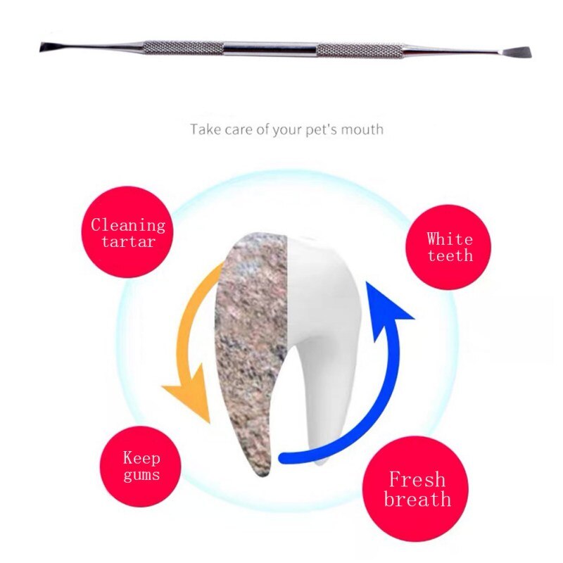 Stainless Steel Double Ended Dental Calculus Removal Tool Tooth Scaler