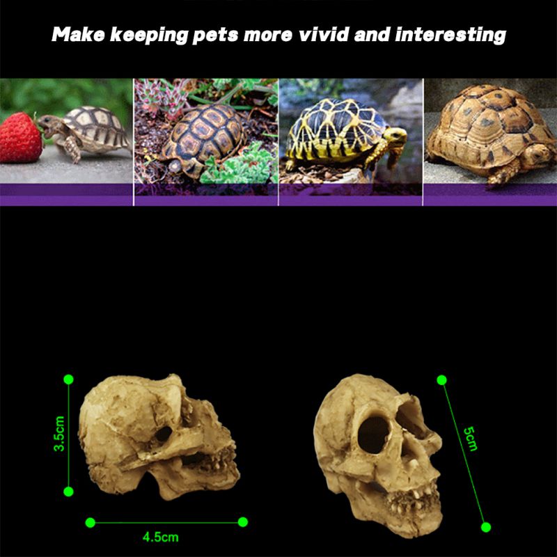 Hars aquarium decoratie aquarium terrarium decoratie halloween decoratie schedel klim landschap aquarium ornament accessoires: Xlw