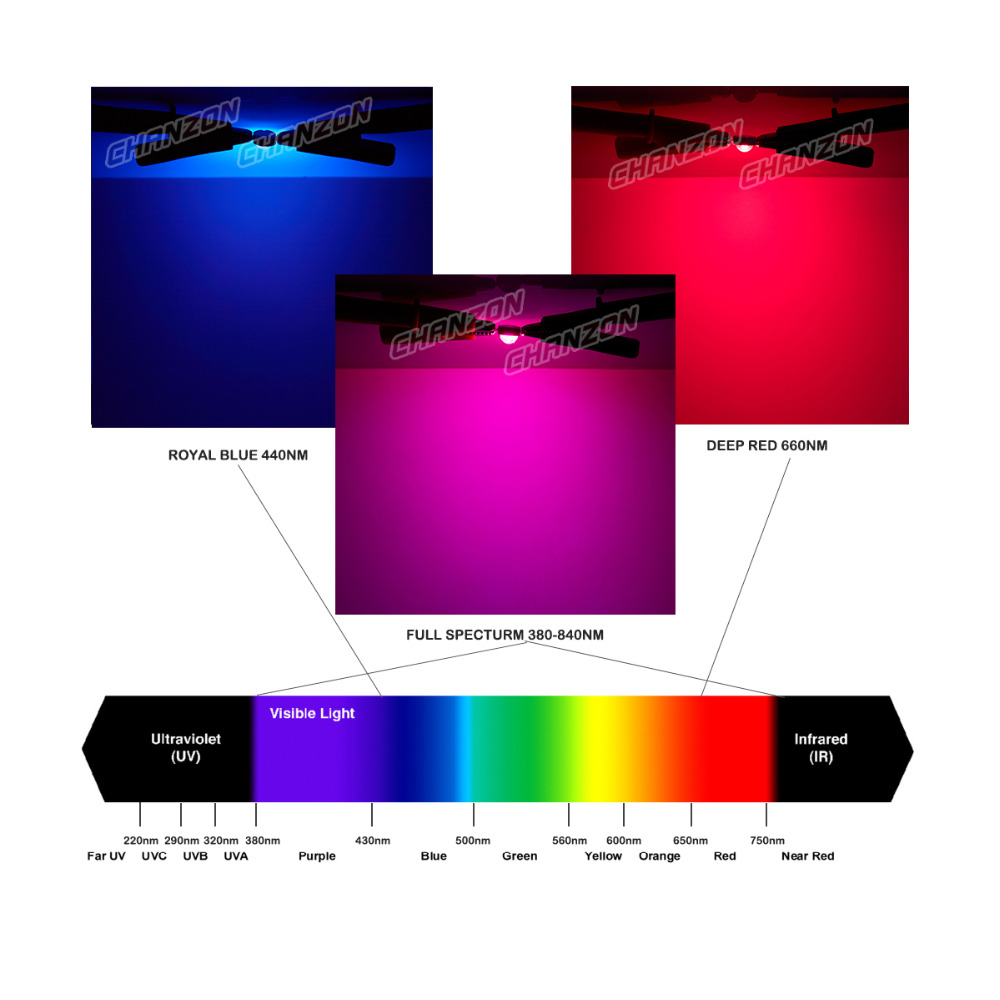 CHANZON 1pc Chip LED de alta potencia 10W 20W 30W 50W 100W blanco frío Natural cálido rojo verde azul amarillo RGB 440NM 660NM espectro completo