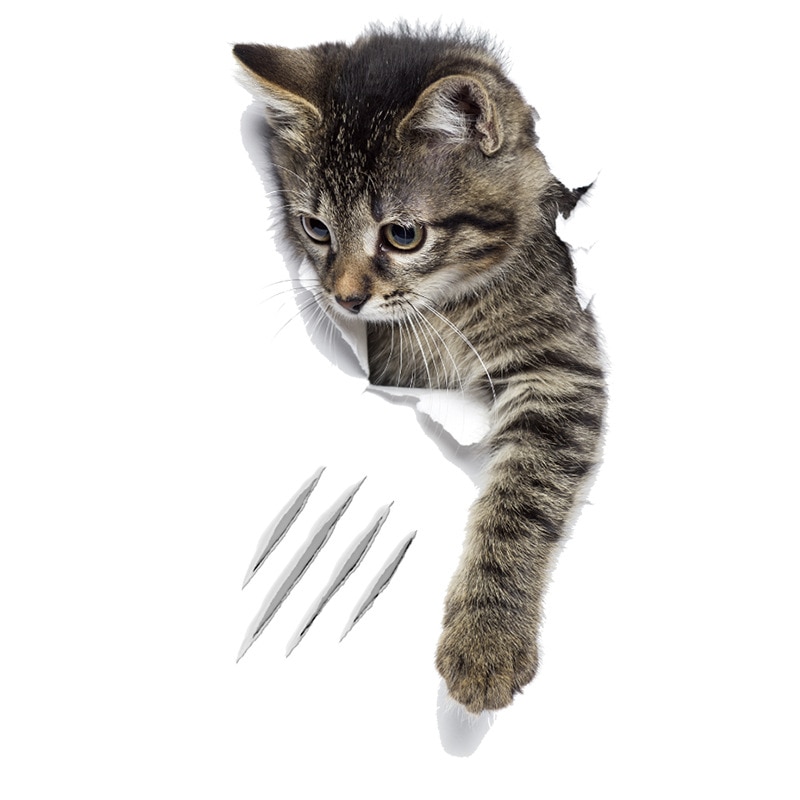 1 stuk achtergrondstickers schattige 3d kattenbehang decoratie badkamer toilet woonkamer huisdecoratie sticker: T4