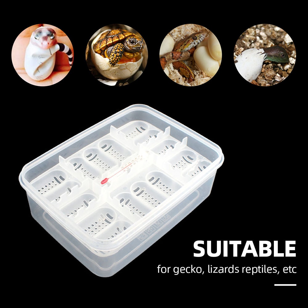 Reptile Incubation Box Suitable for Hatching Snake Lizards Reptiles with Thermometer Reptile Egg Box Reptile Breeding Box