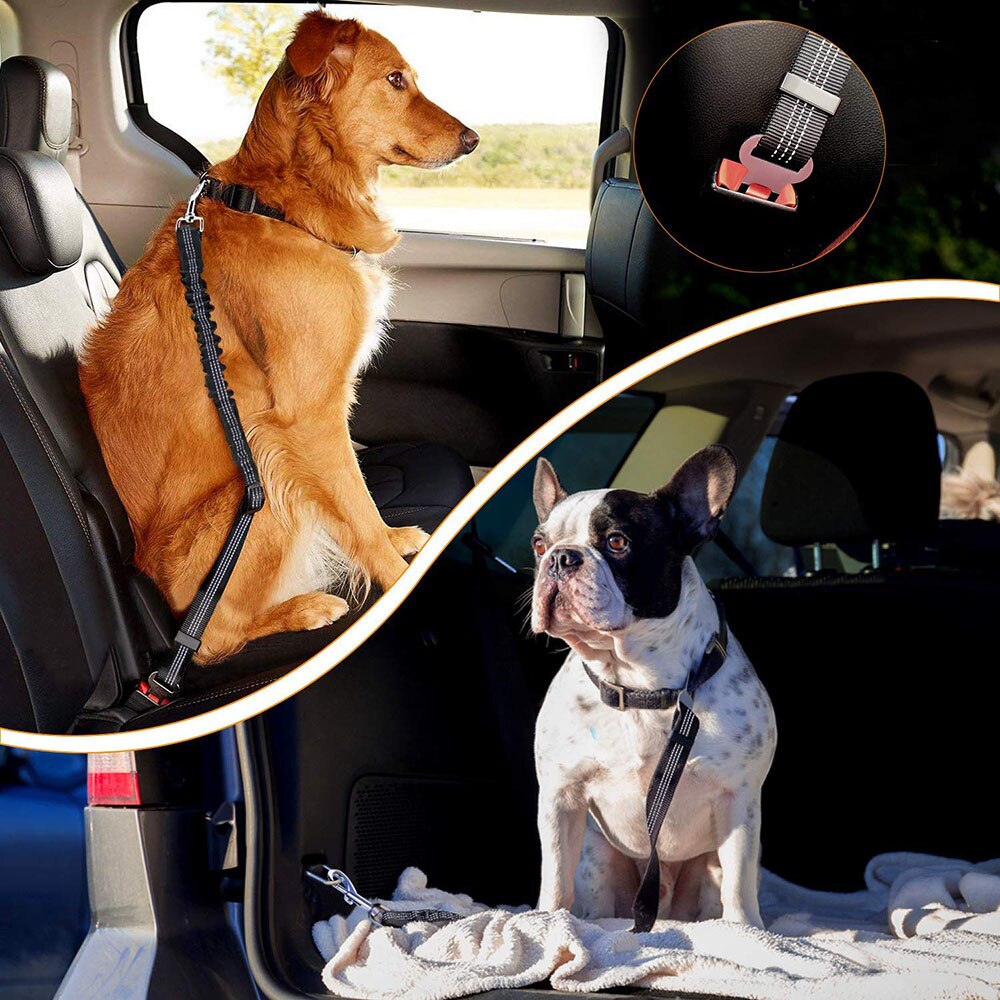 2Pcs Anti-Shock Dog Seat Belt Autogordel Reflecterende Elastische Hondenriem Voertuig Auto Veiligheid Harnas lead Clip Dierbenodigdheden