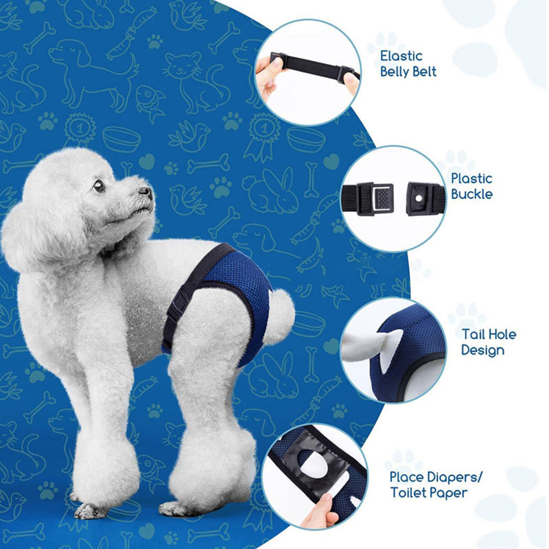 Couche physiologique pour chien et chiot femelle,serviette hygiénique, sous-vêtement/short pour chienne, accessoires pour animaux de compagnie