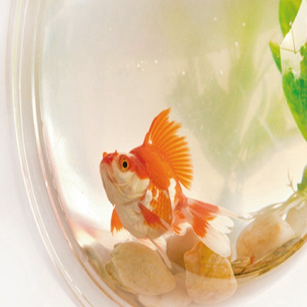 Acrylic Fish Bowl Wall Hanging Aquarium Tank Aquatic Pet Supplies Pet Products Wall Mount Fish Tank for Betta fish
