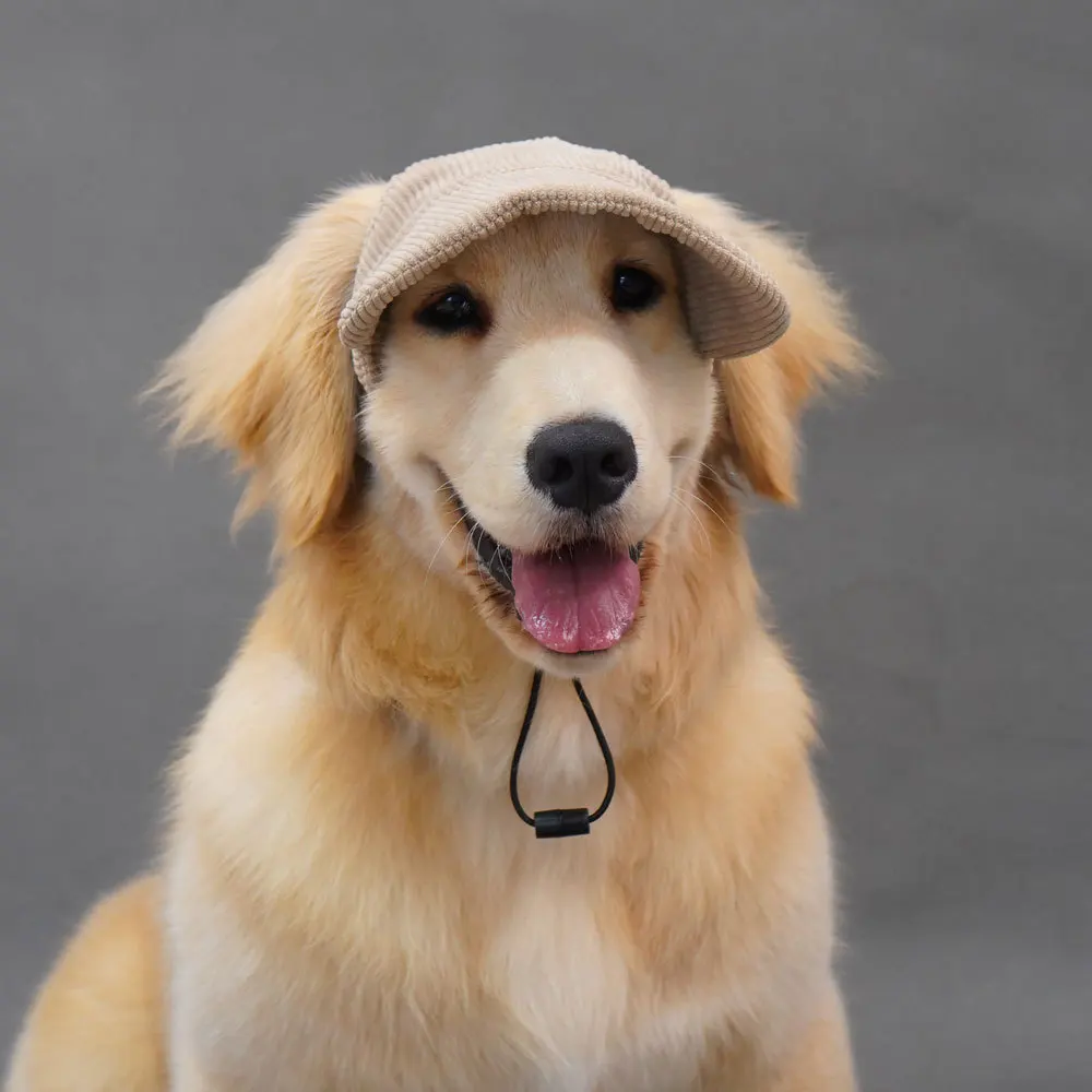 Casquette pour chien avec trous d'oreille, chaîne réglable pour chiens et chats, casquette à visière d'extérieur, chapeau de Sport d'été pour chiots, petits, moyens et grands chiens