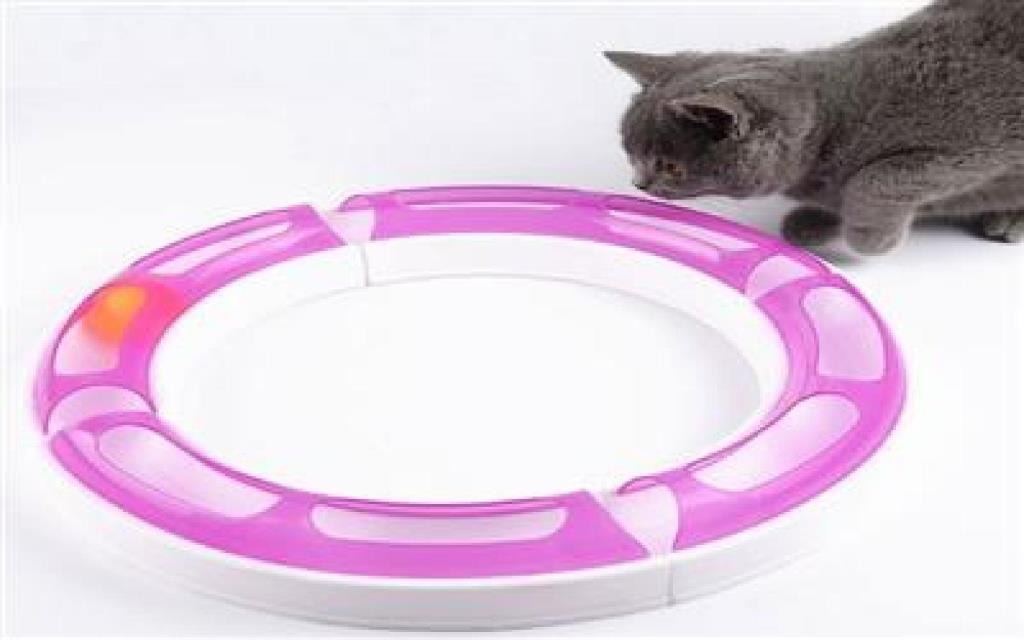 Cat Play Circle Game Tunnel Cat Toy