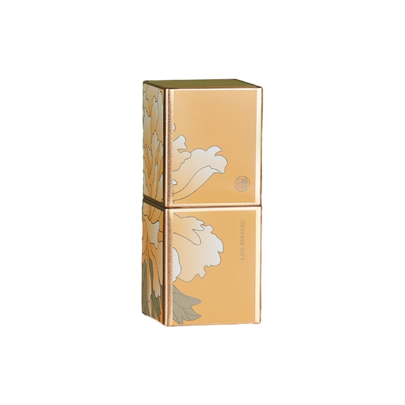 LIFKOME 2 Stuks Craft Mini Thee Organizer Luchtdichte Theeblik Mini Opbergruimte Woondecoratie
