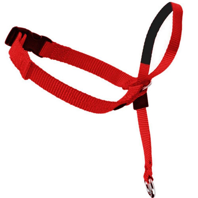 Pet Dog Head Leash Collar No-Pull Painless Gentle Adjustable Control Leash Leader Durable Dog Training Tool Pet Products S/M/L: Red / L
