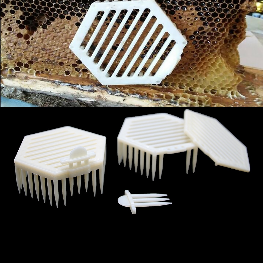6 stk biavl værktøj bi dronning bur bier fangst biavl bure celleboks udstyr værktøj plast sekskantet biavl forsyninger