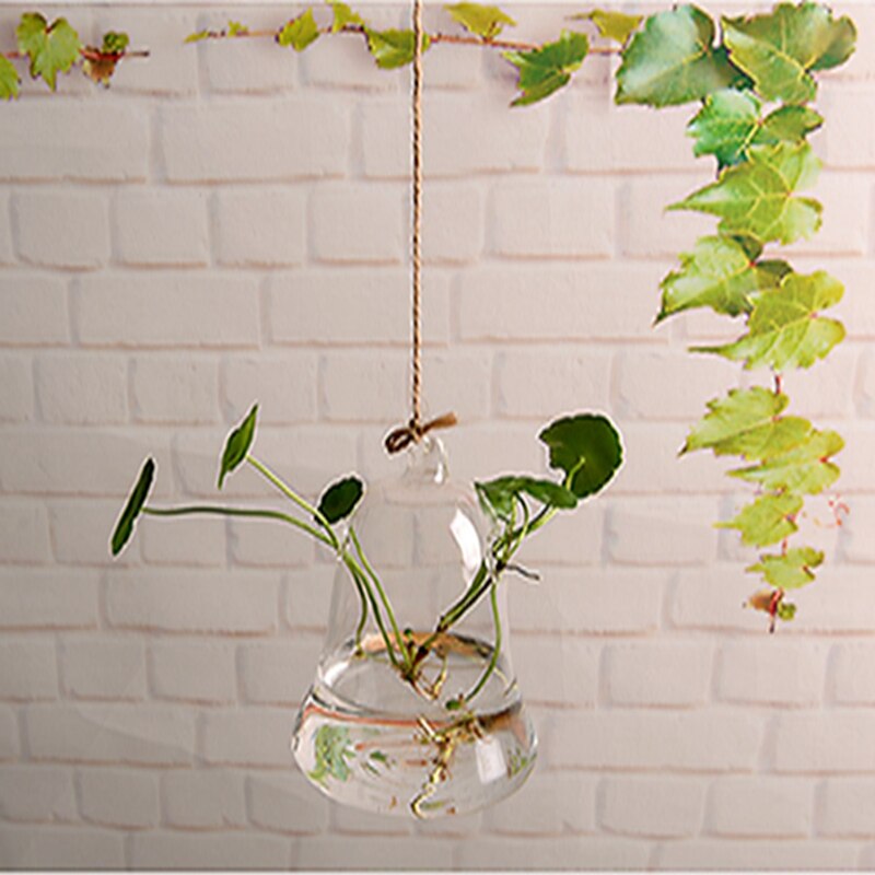Bell Shaped Glass Wall Hanging Planters Hydroponic Vase Pendant Hanging Bottle Transparent Glass Vase Pots for Indoor Outdoor