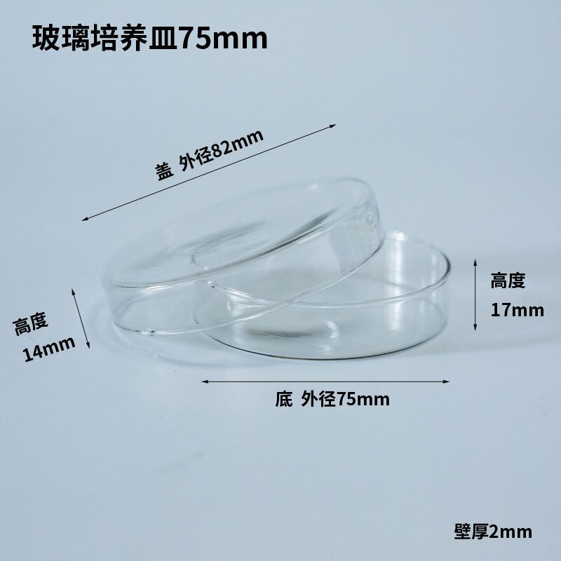 Glass Petri Dishes,60/75/ 90 /100/ 120mm,Experimental Cell Bacterial Culture Dishes,Glass Plates,Experimental Equipment