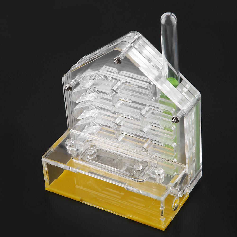 Nido de hormigas acrílico, Villa, casa de granja, formicario para alimentación de hormigas, cría de insectos pequeños, suministros de animales de granja