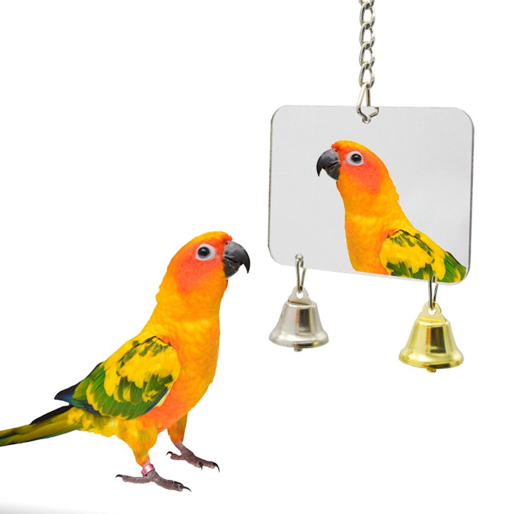 1PCS/Set 8 Style Combination Parrot Toy Bird Articles Bite Toy Bird Toys Parrot Funny Swing Ball Bell Standing Training Toys