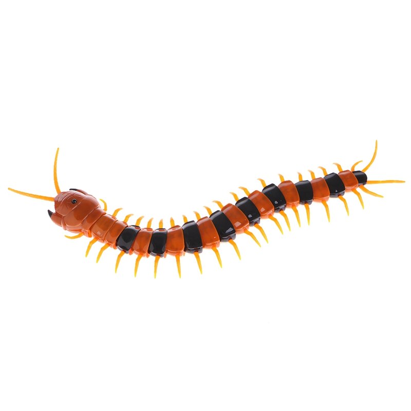 Télécommandé Animal mille-pattes flippant-rampant blague drôle jouets pour les enfants BX0D: Marron