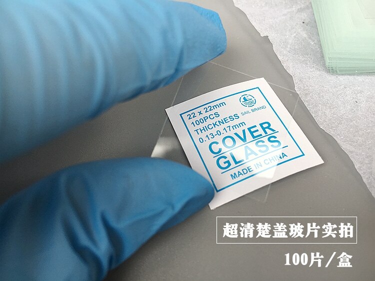 100pcs Optical 22x22mm Length Biomicroscope Microscope Glass Slide Cover Slips Blank Slides for Lab Middle School Students