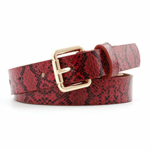 Cinturones con estampado de piel de serpiente para mujer, Cinturón de piel sintética con hebilla cuadrada dorada: Rojo