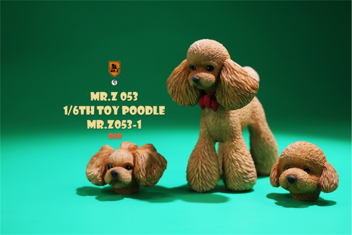 Mr.Z Studio 1:6 Schattige Speelgoed Poedel Hond Pet Figuur Canidae Diermodel Speelgoed Collector Simulatie Teddy Bureau Decoratie Mini