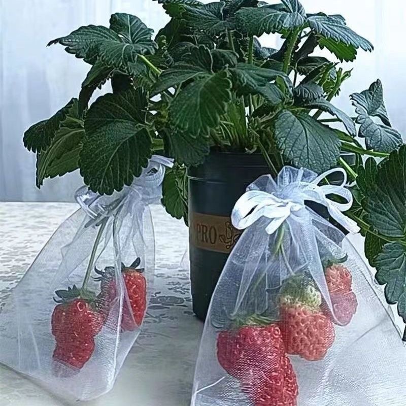 1-100Pcs Bundle Mouth Organza Drawstring Garden Bird Proof Net Fruit Protection Bag Mesh Packaging Bags Gardening Tools