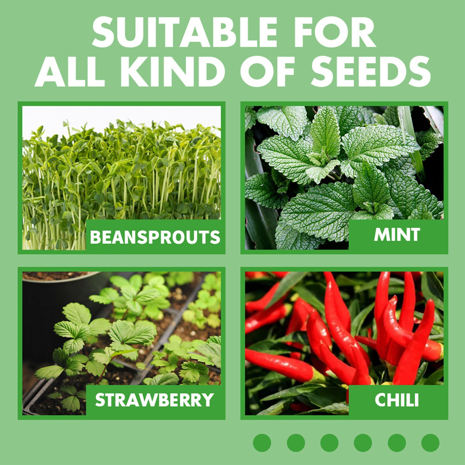 10PCS Plant Germination Tray No Drain Holes Plant Seedling Tray Seed Germination Plant Flower Pots Nursery Grow Box