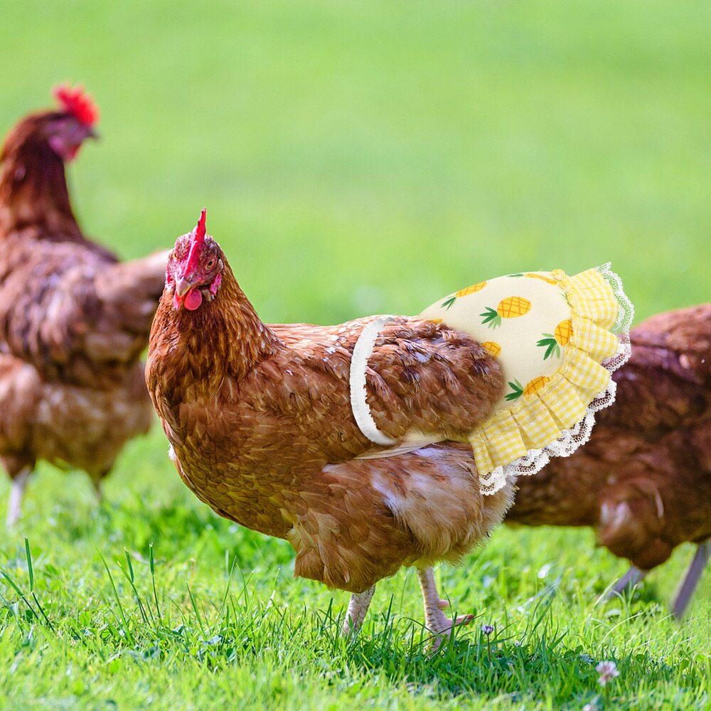 Chicken Feather Protection Back Wing Protector Cloth Hen Chicken Saddle Apron