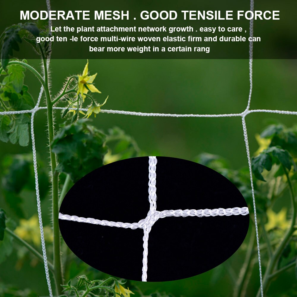 Hydroponics Garden Plant Support Vine Climbing Net Accessories Heavy-Duty Polyester Plant Trellis Netting Multi Use