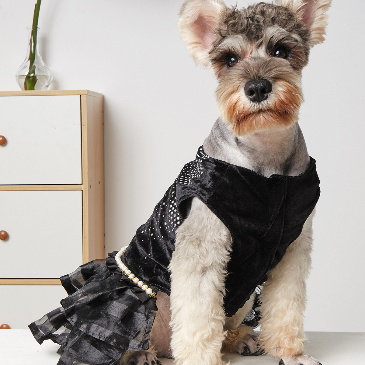 NEUE Bling Hund Kleid Hochzeit Tüll Felsen Schicht sexy Schwarz Haustier welpen Kleider XS S M L XL