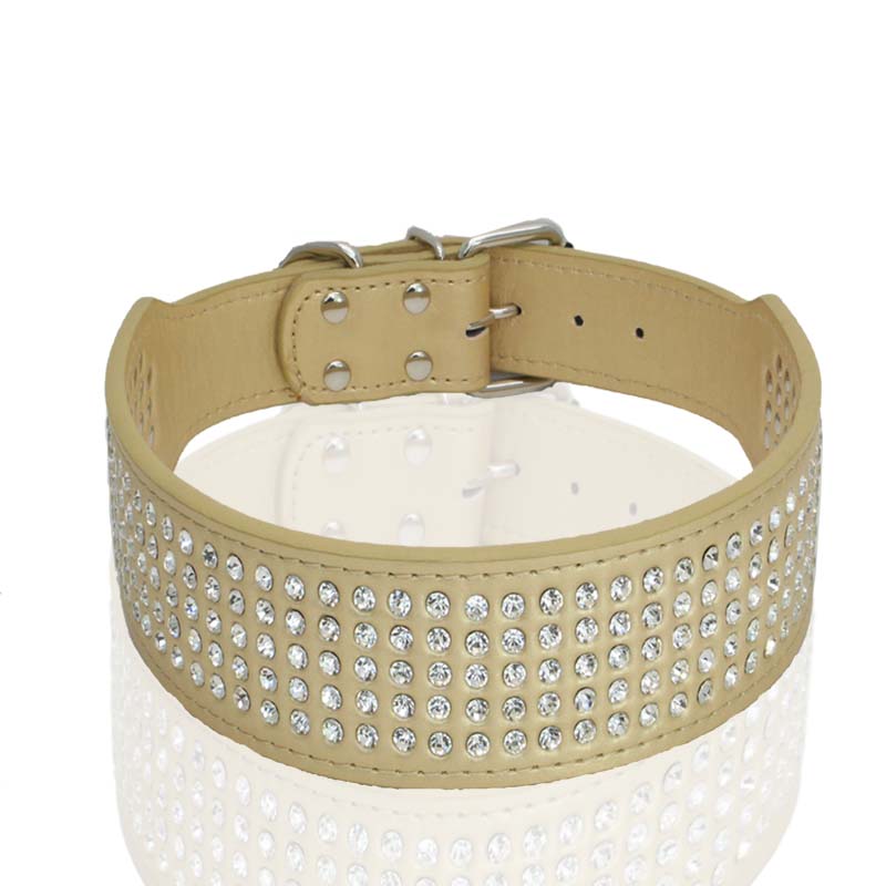Rhinestone PU Leather Dog Collars 5 Row Diamante Bling for Large Dogs 5cm wide: XXS / Gold