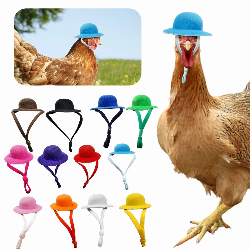 Sombrero de pollo para gallinas, mascotas pequeñas, accesorios divertidos para pollo, sombrero de copa para gallina, gallo, pato, loro, hámster, aves de corral, disfraz de espectáculo