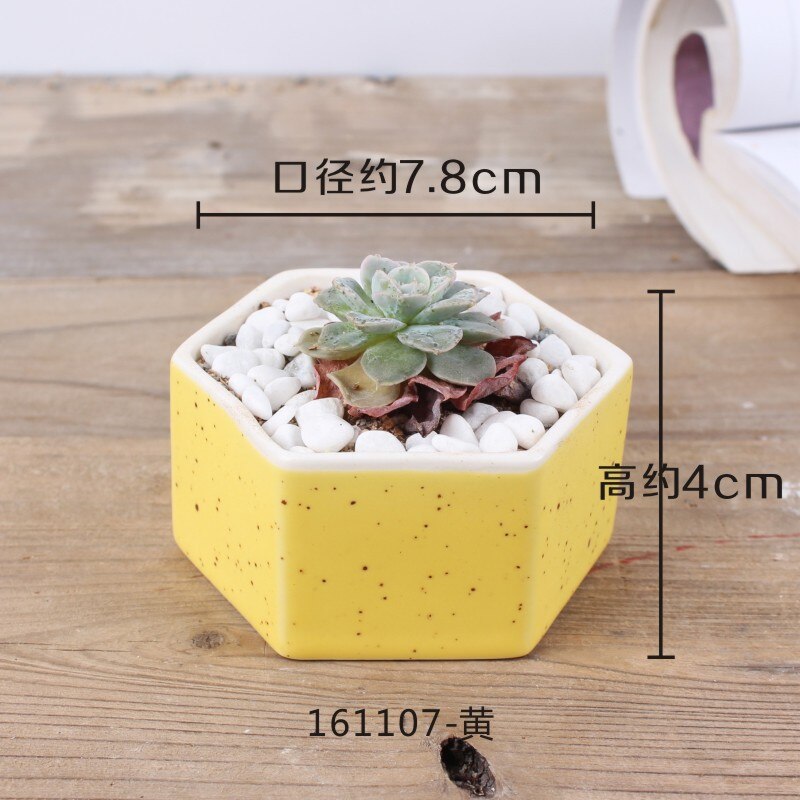Maceta de cerámica pequeña y fresca con flor carnosa de JQWORV, macarrones arcoíris, macetero de dedo, plantación verde, adornos de escritorio, maceta: 3