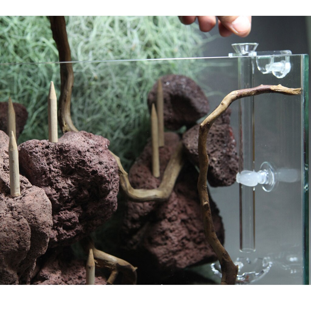 Akvarium akvarium reker mater mater klar glass materørskål sugeluft reker bolle materør for fisketank materbrett