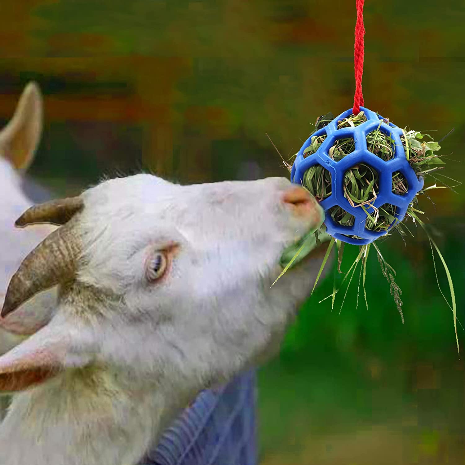 1PCS Horse Treat Ball Feeder Toy Hay Ball Hanging Feeding Toy for Horse Stable Stall Paddock Rest