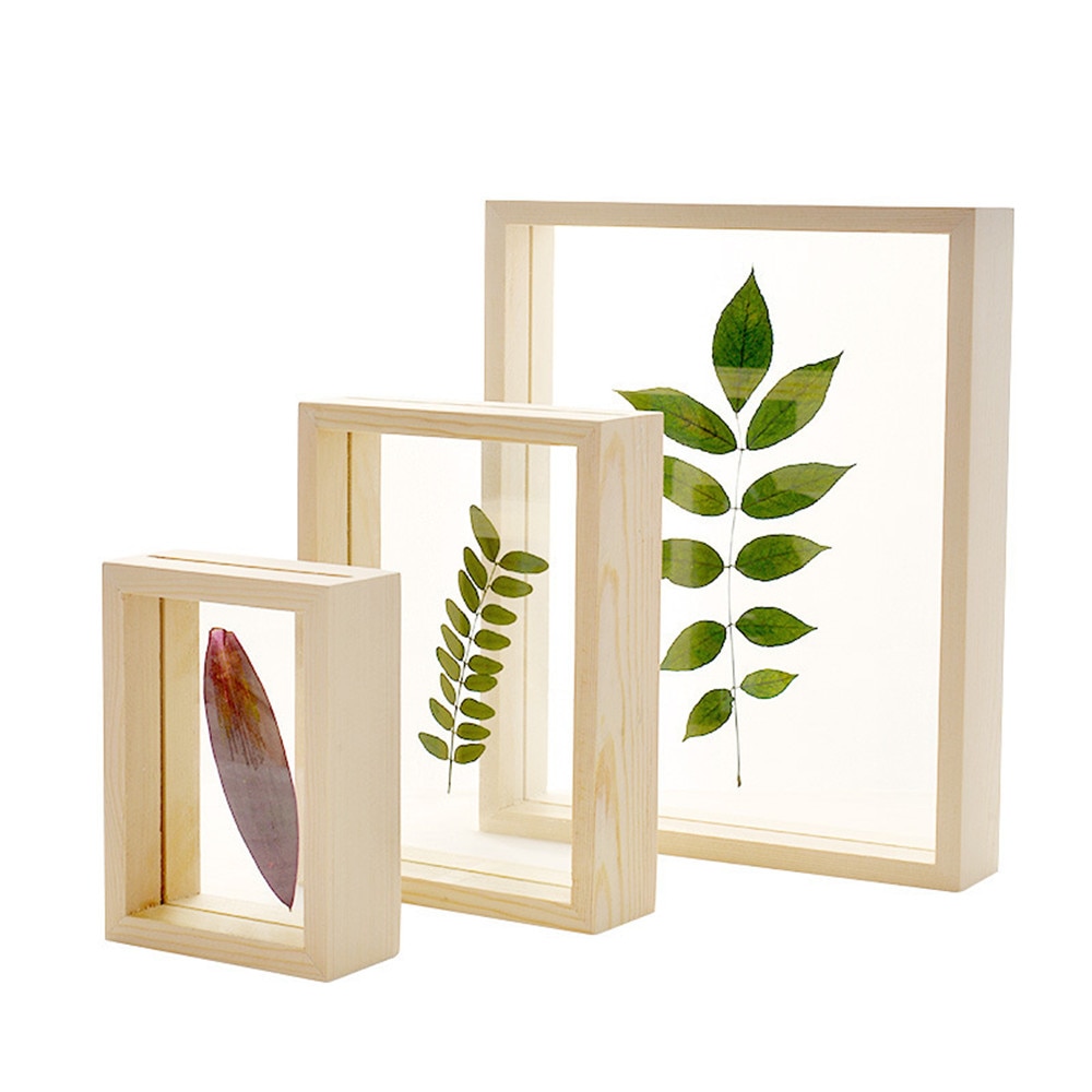 Mini arte de madeira moldura da foto da família titular diy decoração do casamento do vintage transparente planta de plástico espécime foto quadro suppo
